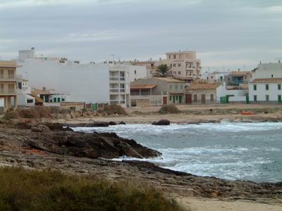 DSCF0100.JPG